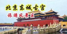 美女自慰被操免费看网站中国北京-东城古宫旅游风景区